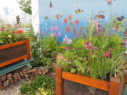 Bloom planter shot