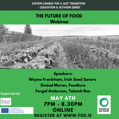 food seminar
