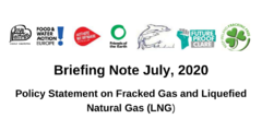 Briefing Note July, 2020 Policy Statement on Fracked Gas and Liquefied Natural Gas (LNG)