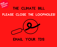 FB E-action Close the loopholes
