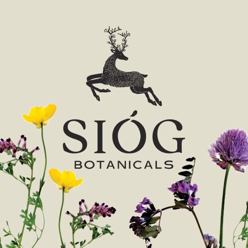 482880087_685297793826429_296699709980175743_n